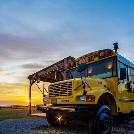 American School Bus - 1 Bedroom - Blossom Farm - Tiers Cross Johnston Екстериор снимка