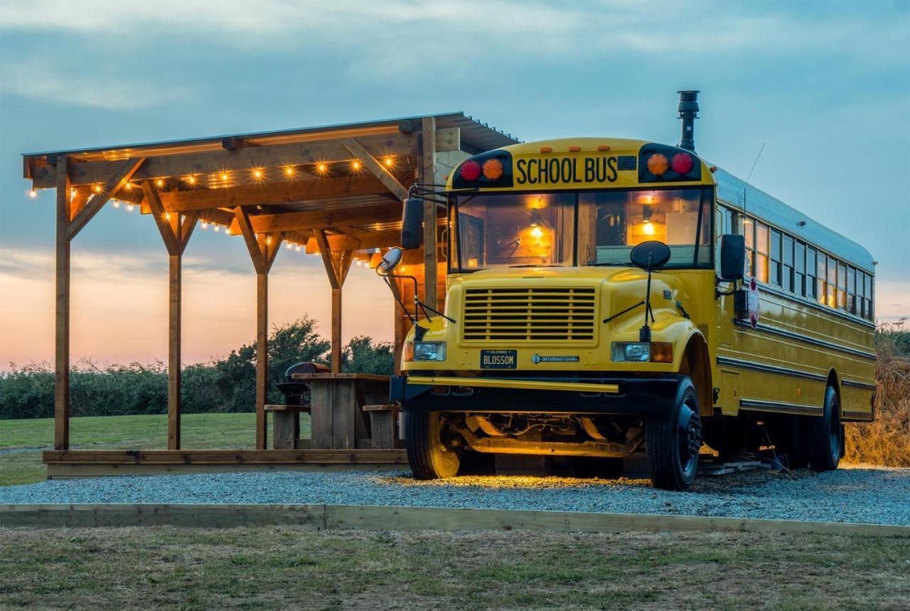 American School Bus - 1 Bedroom - Blossom Farm - Tiers Cross Johnston Екстериор снимка