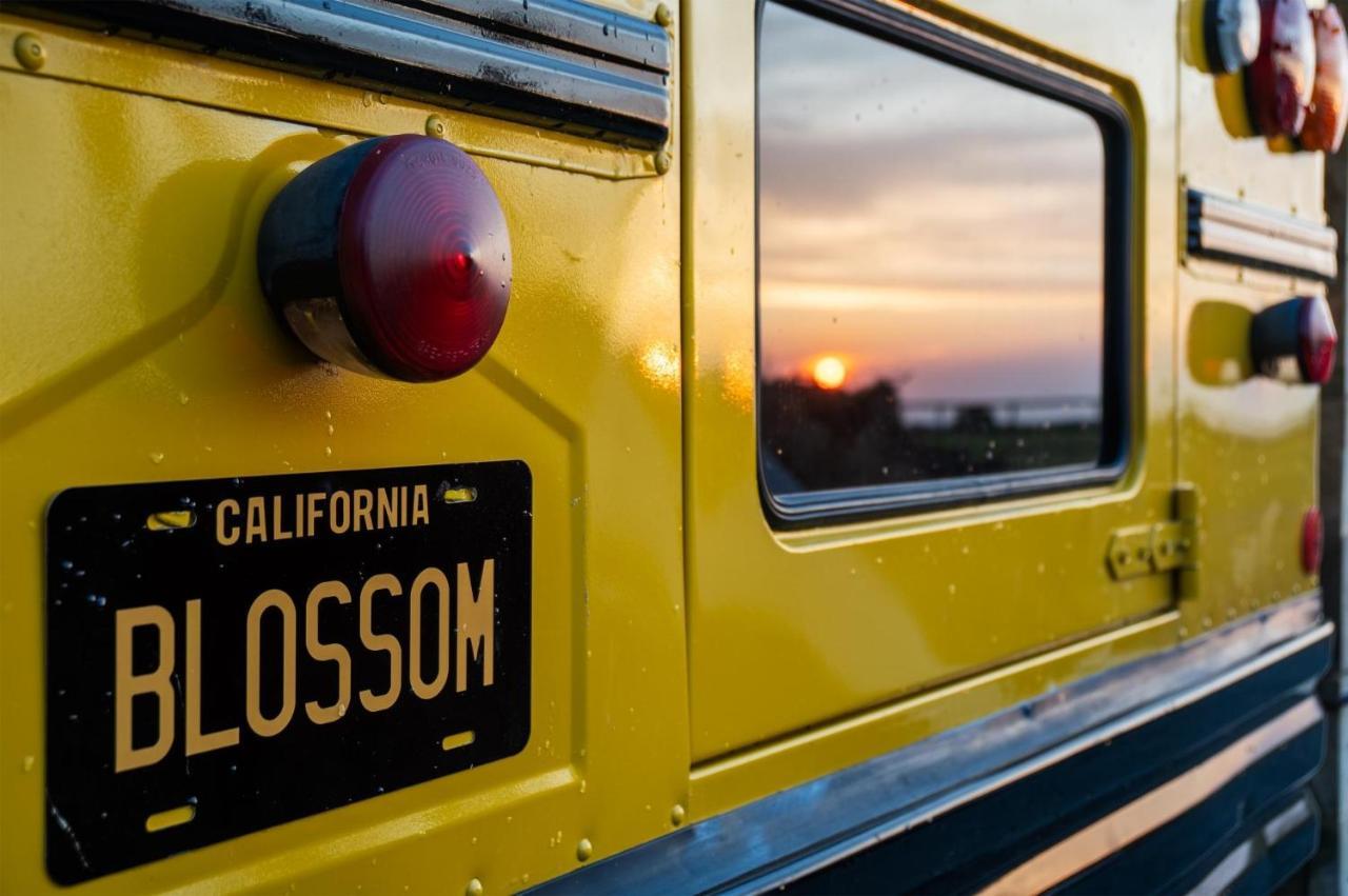 American School Bus - 1 Bedroom - Blossom Farm - Tiers Cross Johnston Екстериор снимка